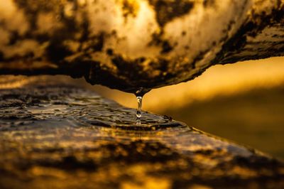 Close-up of water