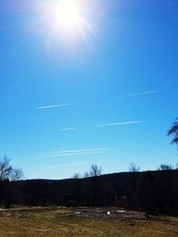 Low angle view of trees against blue sky