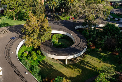 High angle view of trees in park
