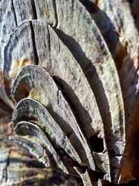 Detail shot of bread