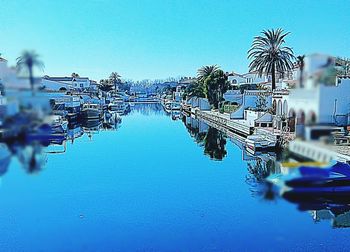 Reflection of palm trees in swimming pool