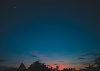 Low angle view of silhouette trees against sky at night