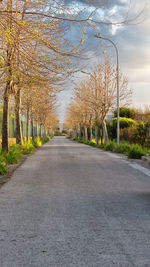 Empty road amidst trees in city against sky