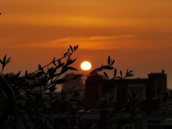 Silhouette plants against romantic sky at sunset