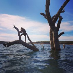 Teenage boy standing on bare tree over lake against blue sky