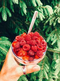 Cropped hand of person holding berry fruits and yogurt in bowl by tree