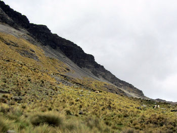 Low angle view of mountain against sky