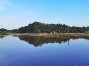 Scenic view of lake against blue sky