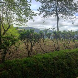 Scenic view of land against sky