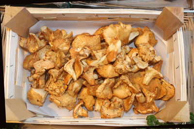 High angle view of mushrooms in box