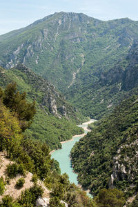 High angle view of river amidst trees in forest