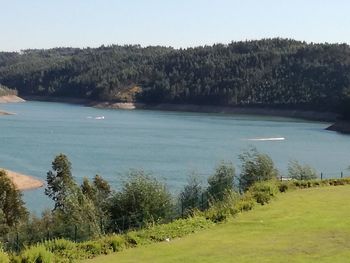 Scenic view of lake in forest against clear sky