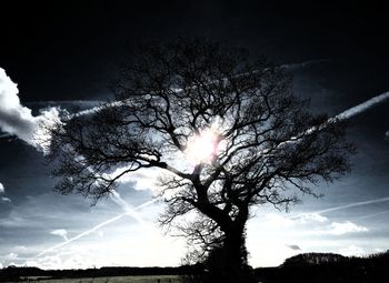 Low angle view of silhouette tree against sky