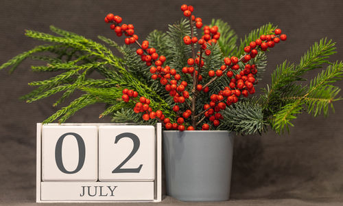 Close-up of red berries on plant