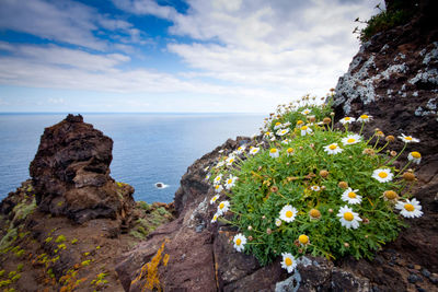 Scenic view of sea by cliff against sky