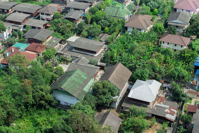 High angle view of buildings and trees in city