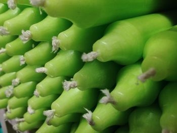 Full frame shot of green beans