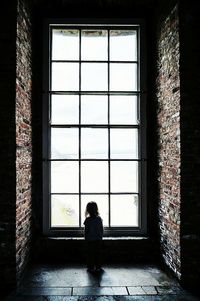 Rear view of woman looking through window