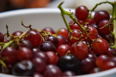 Close-up of grapes in bowl