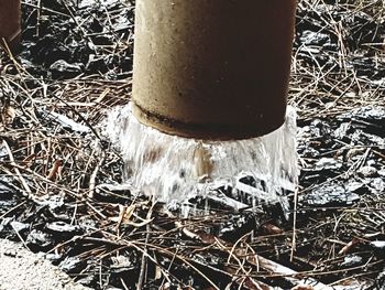 Close-up of snow on water