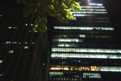 Low angle view of trees at night