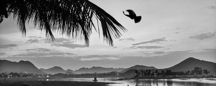 Silhouette birds flying over sea against sky