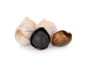 Close-up of bread against white background