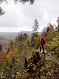 Man walking on street amidst trees against sky
