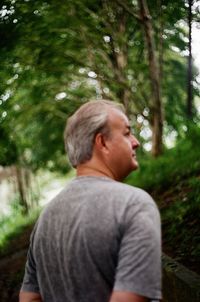 Rear view of a man in a tree