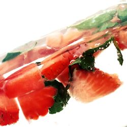 Close-up of sushi served on white background