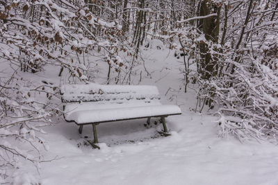 Snow covered bench on field during winter