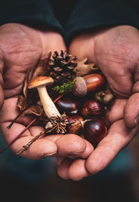 Midsection of man holding chestnuts