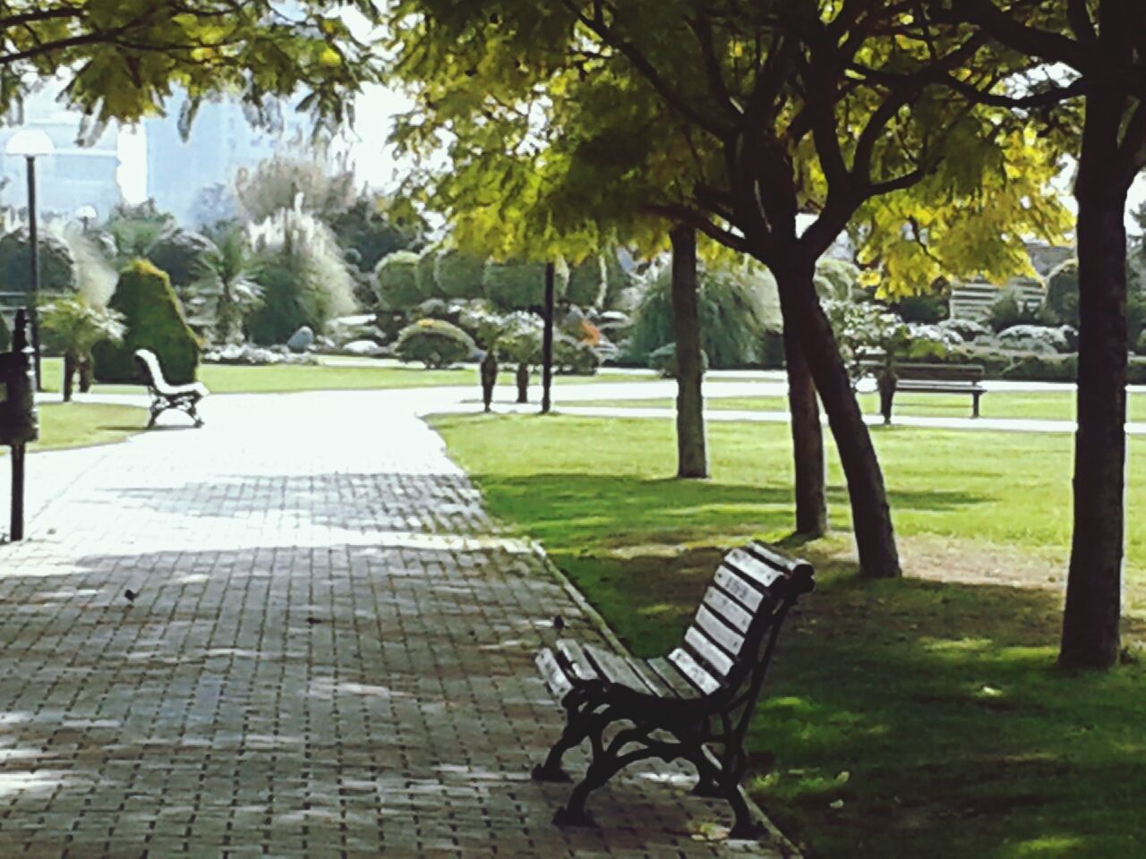 EMPTY PARK BENCH IN PARK