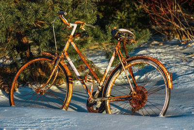 Bicycle on snow covered field