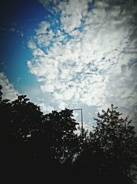 Low angle view of trees against sky