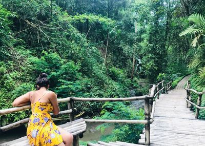 Rear view of woman sitting on footbridge in forest