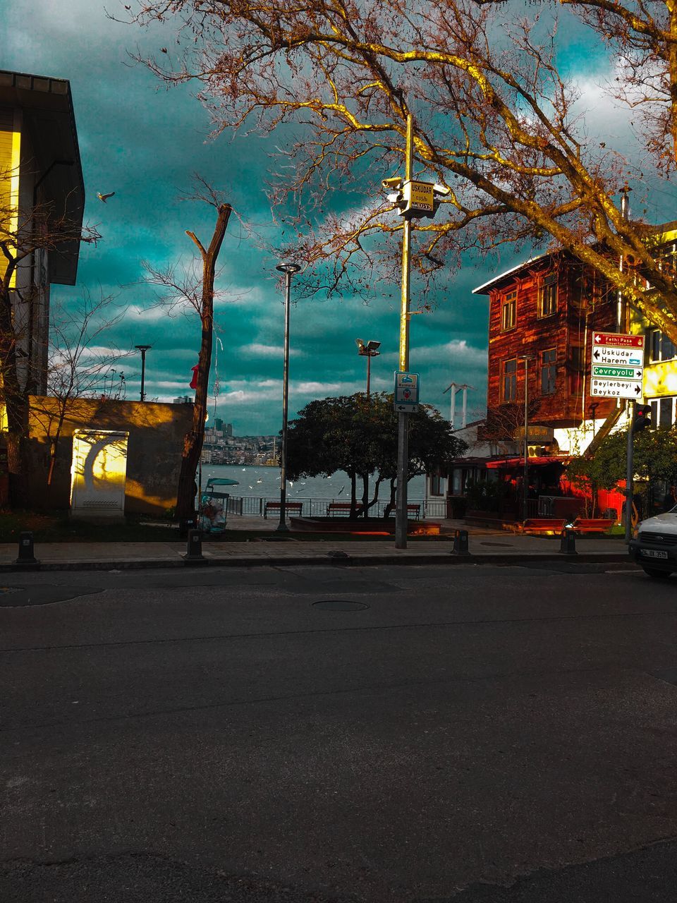 city, building exterior, transportation, architecture, street, tree, built structure, mode of transportation, nature, road, sky, motor vehicle, plant, outdoors, car, land vehicle, cloud - sky, day, no people, building