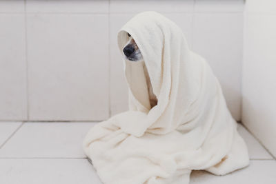 White dog lying down on tiled floor