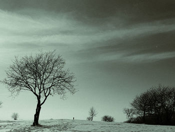 Bare tree on snow covered landscape against sky