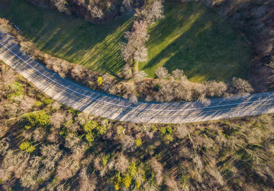 High angle view of road amidst trees