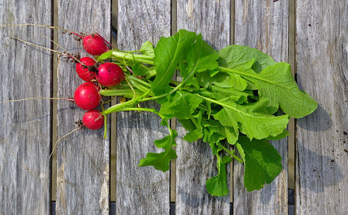 High angle view of berries on table