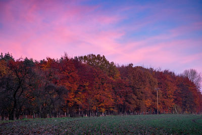Scenic view of trees during autumn against sky