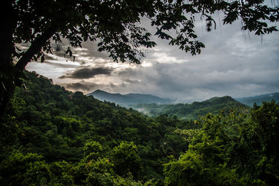 Scenic view of trees and mountains against sky