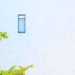 Low angle view of trees against clear sky