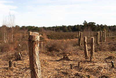 Wooden fence on field against sky