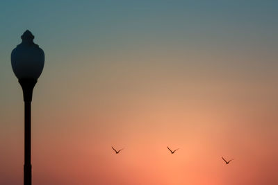 Silhouette birds flying against orange sky