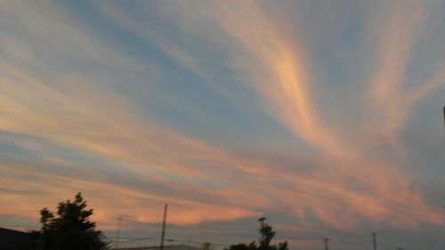 Low angle view of silhouette trees against sky at sunset