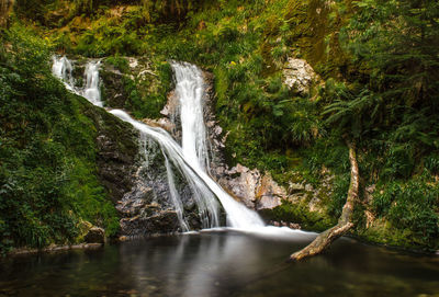 View of waterfall in forest