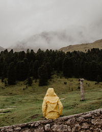 Rear view of person in forest against sky