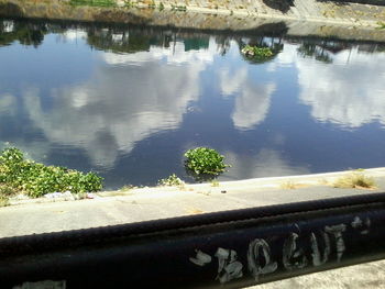 Reflection of trees in water